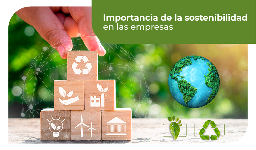 Banner Sostenibilidad Articulo Desktop